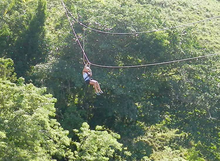 Zip Line Adventure Tour Sosua/Cabarete Foto 01